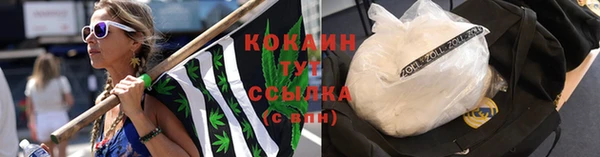 стаф Балахна