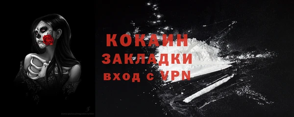 гидра Арсеньев