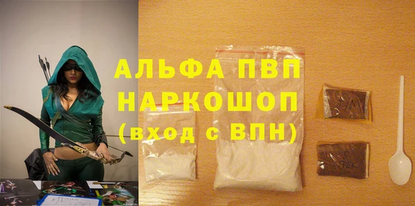 СК Новодвинск