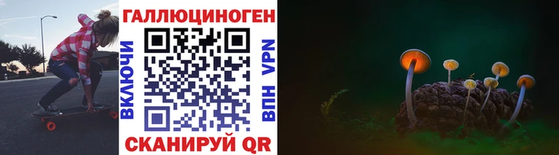 мориарти телеграм  наркотики  Дорогобуж  Псилоцибиновые грибы MAGIC MUSHROOMS 